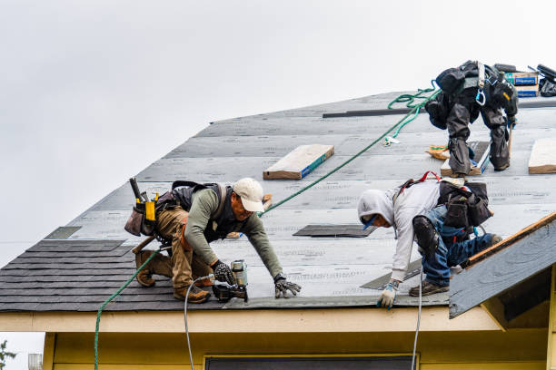 Professional Gutter Installation technician working in Jeffersonville, GA